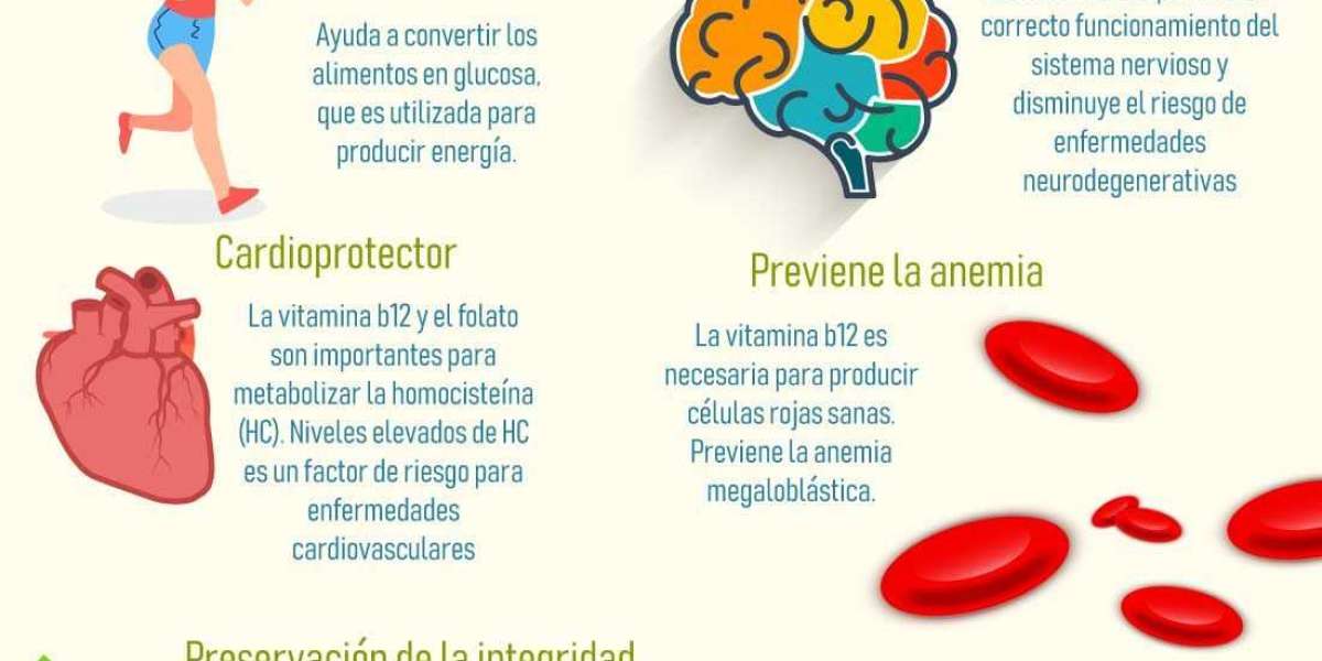 :: CIMA ::. PROSPECTO OPTOVITE B12 1.000 MICROGRAMOS SOLUCIÓN INYECTABLE